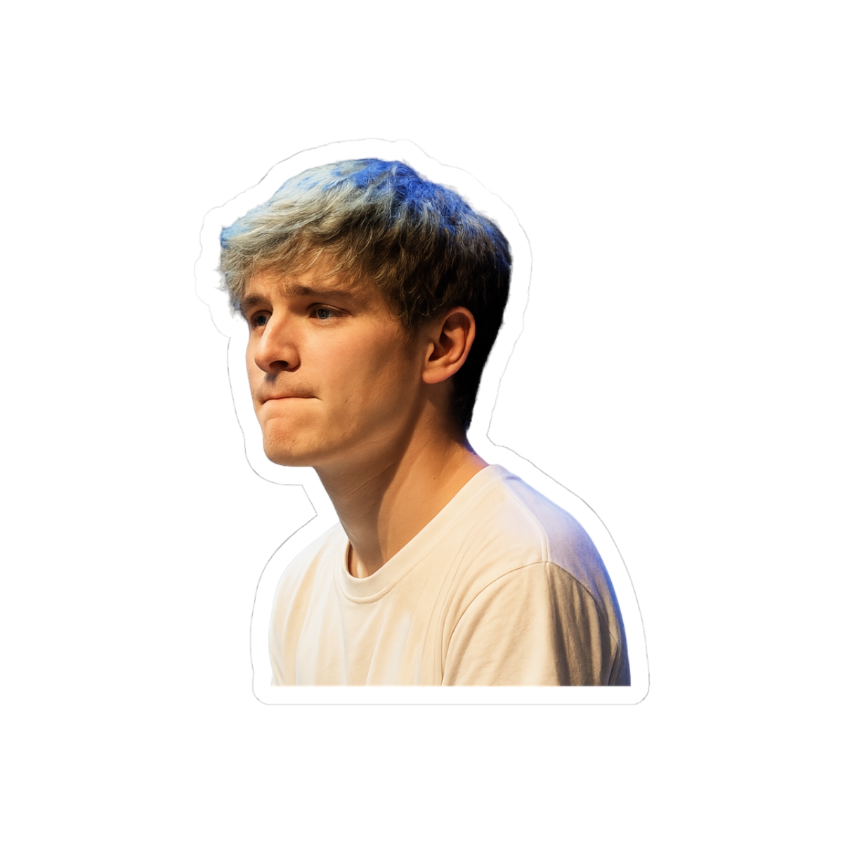 Bo Burnham Comedian Sticker